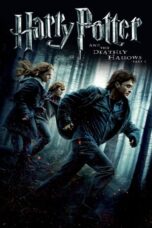 7-Harry Potter and the Deathly Hallows Part 1 Download 2010 [Dual Hindi-English Audio] ORG GDrive