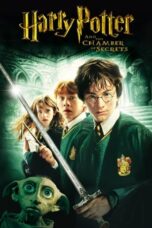 2-Harry Potter and the Chamber of Secrets Download 2002 [Dual Hindi-English Audio] ORG GDrive